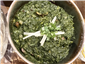 spinach dish